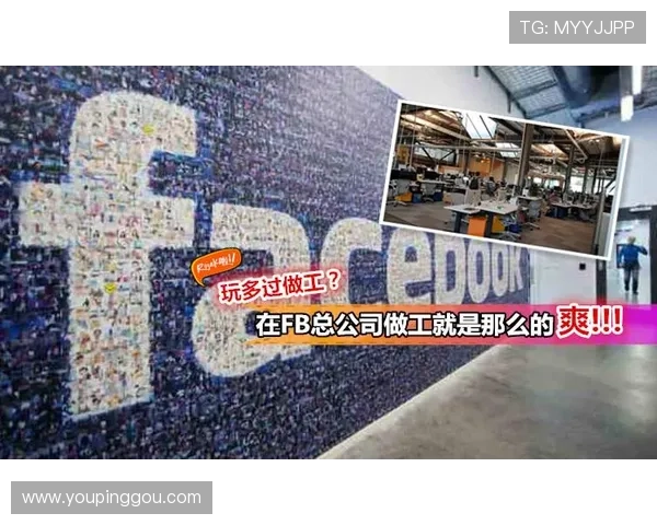 fb体育官网入口官方账号注册及登录流程详细指南帮助新手快速上手