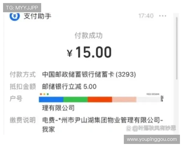 IM体育支付方式详解：多样化支付渠道保障你的资金安全与快速到账