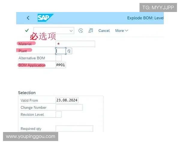 K8亚游官网新手入门指南，详细介绍注册流程、游戏规则及技巧分享