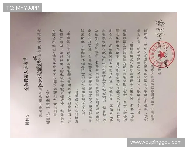 凯发网站登录入口官网：官方登录入口的最新更新与维护公告