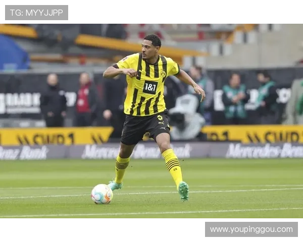 利用K8凯发体育的数据分析工具优化投注策略实现稳健盈利